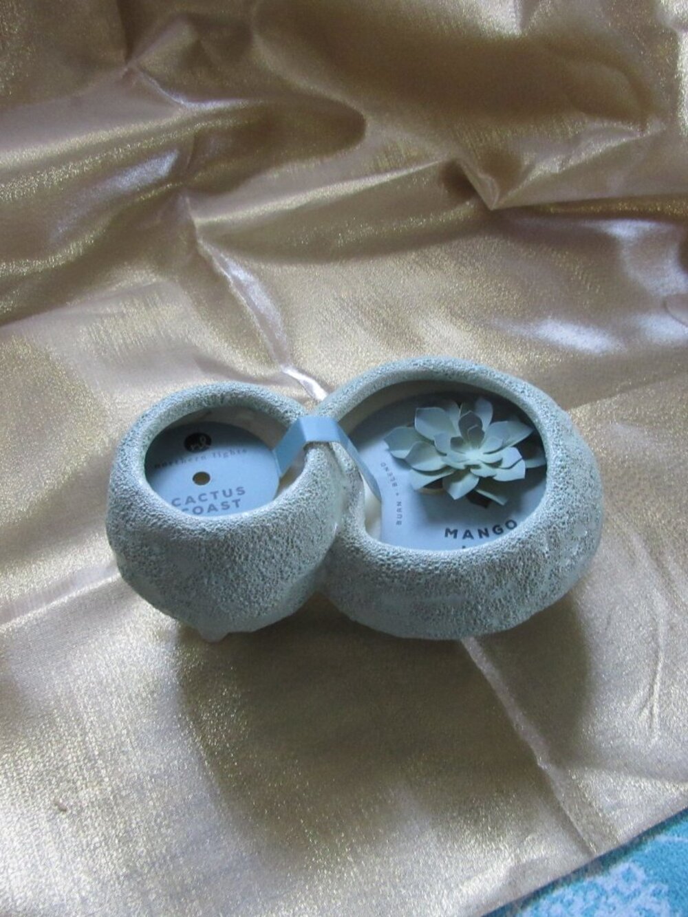 SOY Candle-Hand Poured in USA   Mango leaf & Cactus Coast  -  NEW Never used.